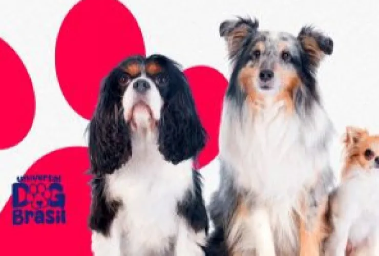 Cachorro com dono em feira pet Universal Dog Brasil no Shopping Crystal
