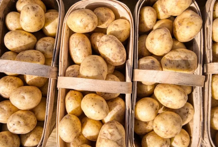 Como o modo de preparo da batata influencia nos benefícios à saúde
