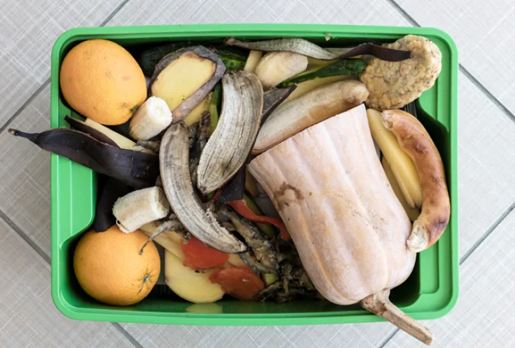 6 dicas para reduzir desperdícios e valorizar os alimentos no dia a dia