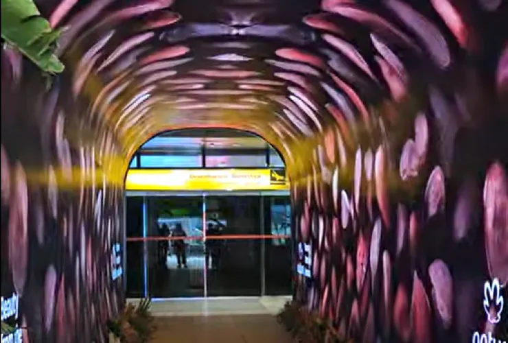 🌿✨ A Natura leva a Amazônia para a COP 30 com uma instalação sensorial no aeroporto de Belém!