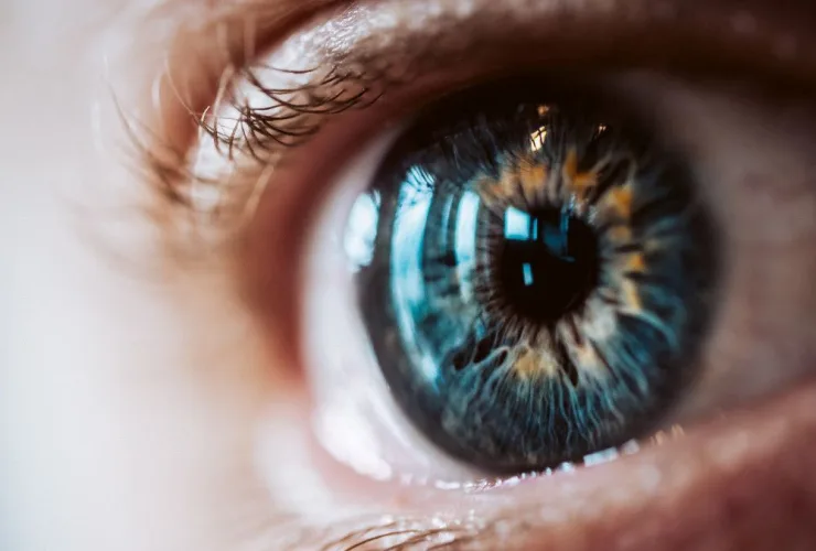 Dia Mundial da Visão destaca a importância de realizar o check-up ocular regularmente para prevenir doenças e manter a saúde dos olhos.