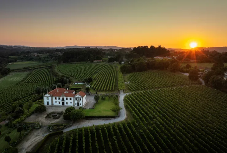 Vinhos Verdes reforçam presença e compromisso com o mercado brasileiro em 2025