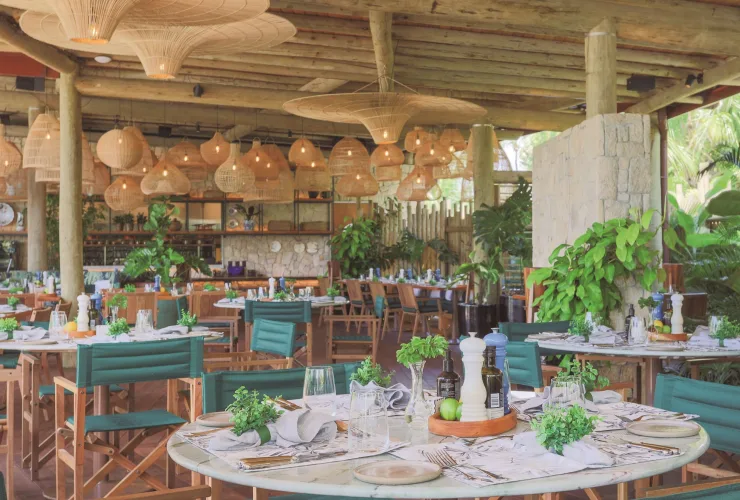 Fernando Pavan recebe Claude Troisgros no último NANNAI Harmonizza de 2025, com alta gastronomia em Pernambuco.