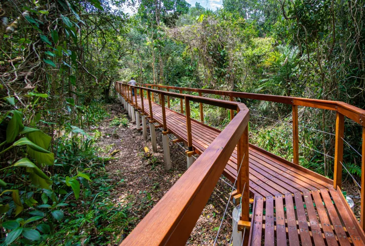 Trilha do Ararapira no Parque Nacional do Superagui