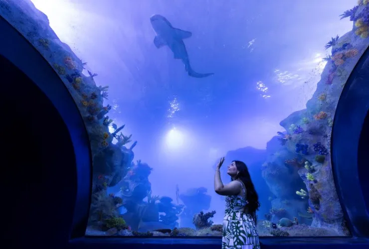 Visitantes no AquaFoz: aquário de Foz do Iguaçu recebe milhares de pessoas e se destaca como nova atração turística.