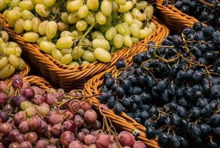 Diferentes tipos de uva para consumo e preparo
