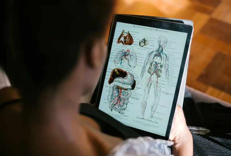 Curso gratuito de Anatomia Humana online