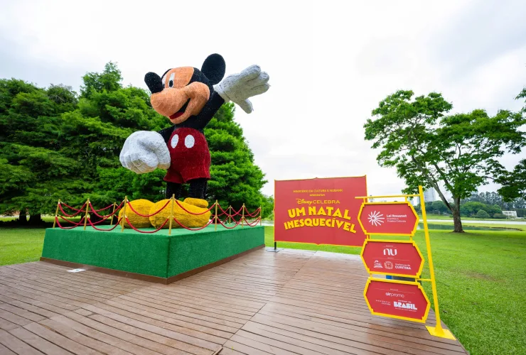 Público no Disney Celebra no Parque Barigui