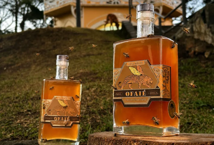 Nova cachaça da Onça Bêbada aposta em mel silvestre e madeiras brasileiras