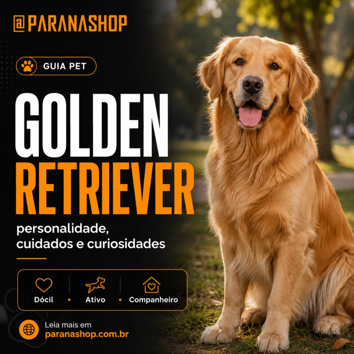 Golden Retriever: personalidade, cuidados e curiosidades da raça
