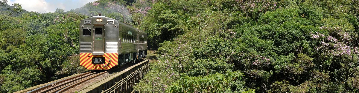 Estrada da Graciosa e litorina transformam o litoral do Paraná em uma das viagens mais bonitas do Brasil