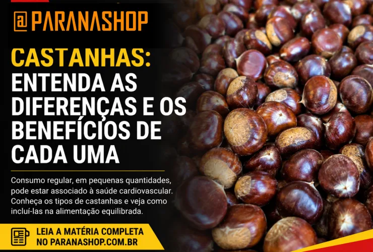 Castanhas: entenda as diferenças e os benefícios de cada uma