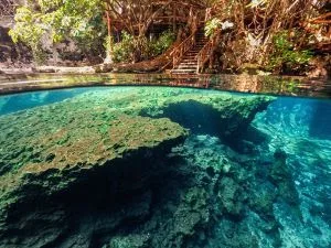 Paje ganha destaque como nova aposta turística de Zanzibar