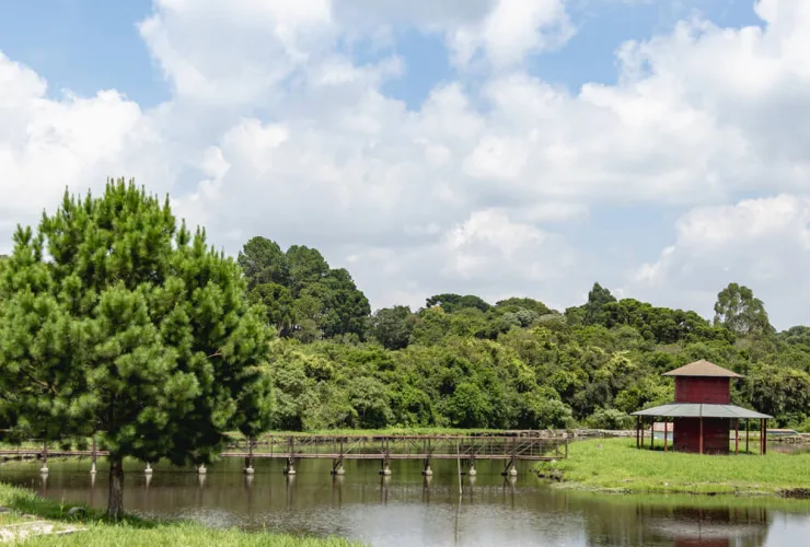 Vinícola Araucária: enoturismo entre vinhos, natureza e cultura paranaense
