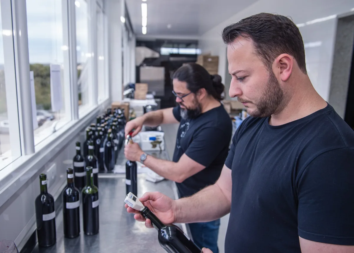 Avaliação Nacional de Vinhos julga 569 amostras às cegas para definir a Safra 2026