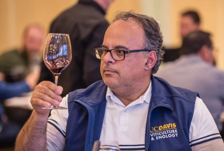 Avaliação Nacional de Vinhos julga 569 amostras às cegas para definir a Safra 2026
