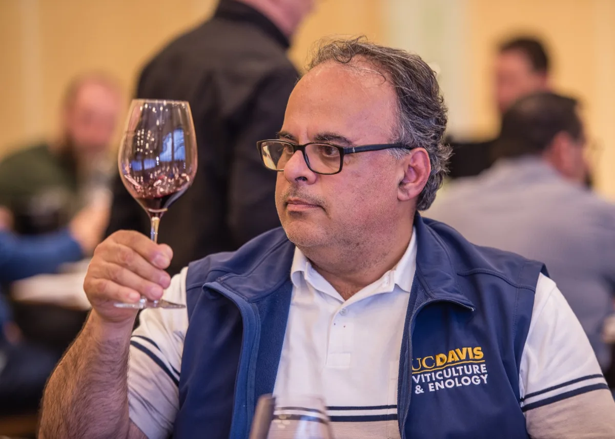 Avaliação Nacional de Vinhos julga 569 amostras às cegas para definir a Safra 2026