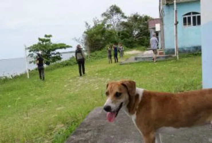 UFPR realiza mutirão gratuito de castração em Guaraqueçaba