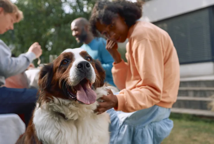 Cinco doenças que mais afetam os cães no frio e como proteger seu pet