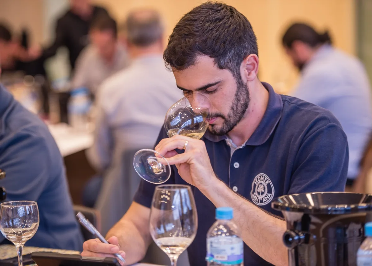 Avaliação Nacional de Vinhos julga 569 amostras às cegas para definir a Safra 2026
