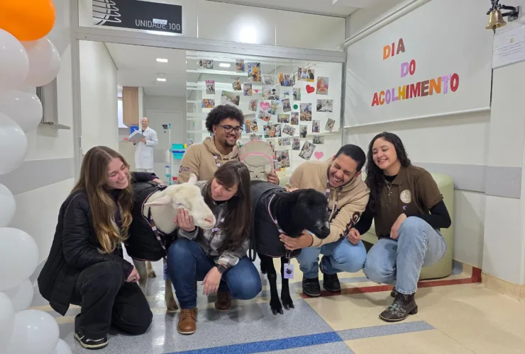Ovelhas visitam hospital de Curitiba em ação de Pet Terapia com pacientes