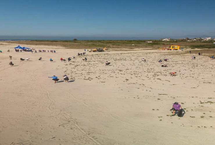 Litoral do Paraná recebe mutirão de limpeza de praias e manguezais em 17 e 19 de setembro
