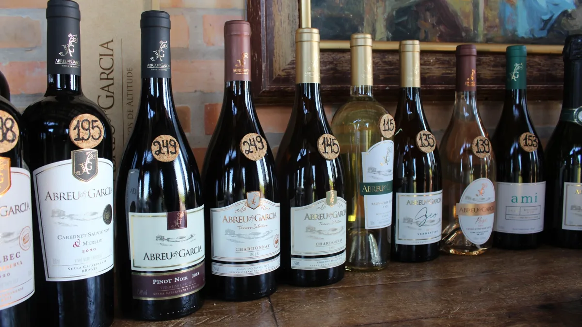 Vinhos de altitude colocam a Serra Catarinense no mapa do enoturismo; veja 11 vinícolas