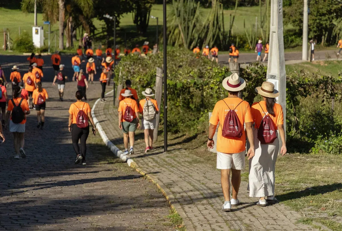 Grupo de pessoas caminhando por calçada e estrada cercada por vinhedos em dia ensolarado.
